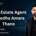Top Best Real Estate Agent In Lodha Amara Thane